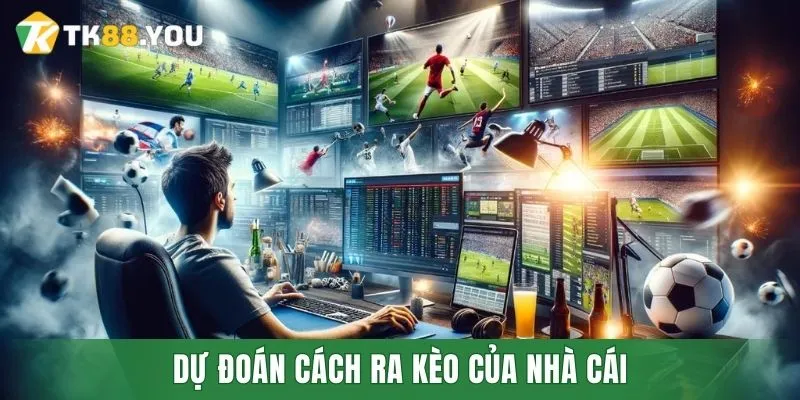 Dự đoán cách ra kèo của nhà cái bằng việc quan sát tỷ lệ