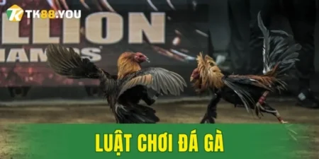 Luật chơi đá gà