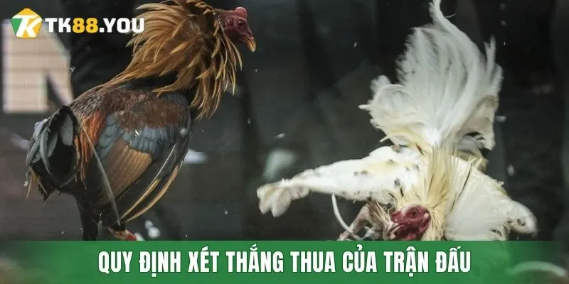 Quy định xét thắng thua của trận đấu
