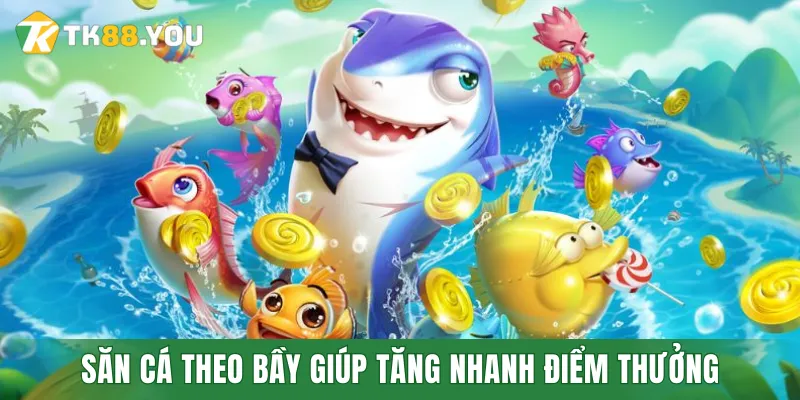 Săn cá theo bầy giúp tăng nhanh điểm thưởng